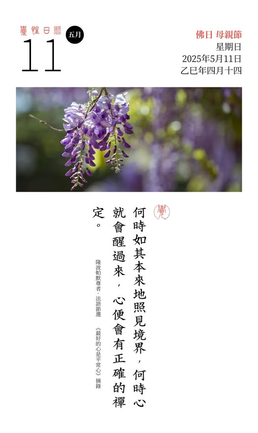 隆波帕默尊者法語