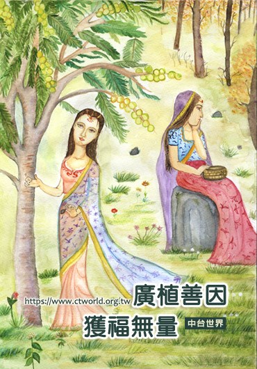 庵罗果