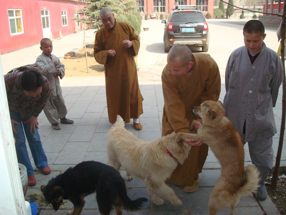 出家人与狗